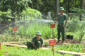 Đồn Biên phòng Ia Púch tích cực tăng gia sản xuất