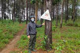 Nguyên đơn tố giác nguyên thẩm phán Võ Đình Sớm nhận hối lộ bị thua kiện