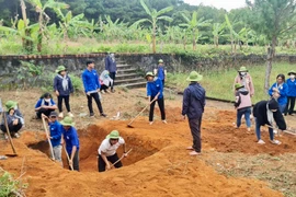 Chư Pah: Đoàn viên thanh niên góp phần bảo vệ môi trường