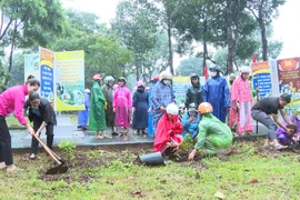 Chư Prông phát động trồng cây xanh nhân kỷ niệm 70 năm Ngày thành lập Đảng bộ huyện