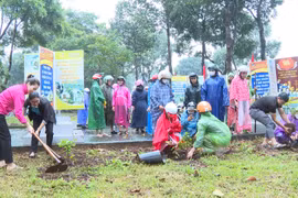 Chư Prông phát động trồng cây xanh nhân kỷ niệm 70 năm Ngày thành lập Đảng bộ huyện