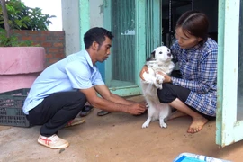 Chư Prông tiêm 9.000 liều vắc xin dại cho đàn chó