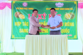 Hợp tác xuất khẩu sầu riêng sang thị trường Trung Quốc