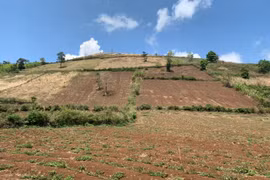 Ủy quyền phê duyệt giá đất cho UBND cấp huyện