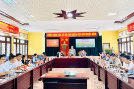 Gia Lai: Bàn giải pháp phát triển bền vững cây sắn