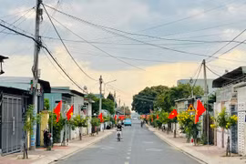 Ấn tượng những “Đường cờ Tổ quốc”