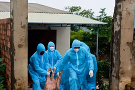 Gia Lai tăng cường phòng-chống dịch bệnh động vật