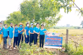 Phú Thiện huy động hội viên, phụ nữ trồng cây xanh