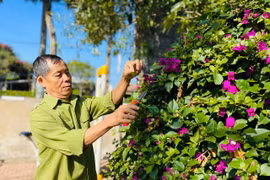 Đẹp nhà, sạch ngõ đón Tết