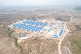 Xử phạt 3 trang trại nuôi heo 960 triệu đồng vì không có giấy phép môi trường 