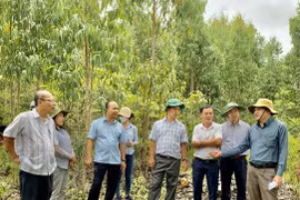 Kông Chro cần bảo vệ tốt khoáng sản các điểm mỏ khai thác và chưa khai thác