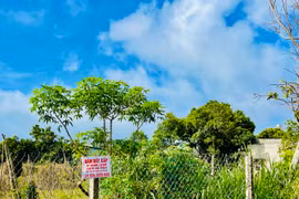 Gia Lai đấu giá quyền sử dụng 217 lô đất