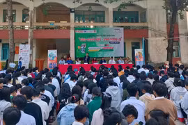  Gia Lai: Từ ngày 2 đến 8-12 tổ chức tư vấn hướng nghiệp cho học sinh năm học 2023-2024