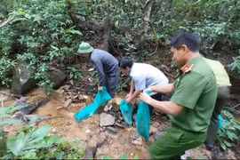 Gia Lai: Thả 8 cá thể động vật hoang dã về môi trường tự nhiên 