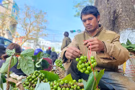 Góp những “lộc xuân”