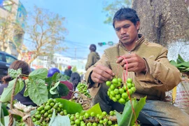 Góp những “lộc xuân”