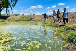 Bức xúc vì trang trại chăn nuôi gây ô nhiễm môi trường