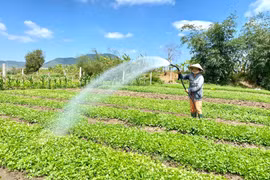 Dự báo, cảnh báo thời tiết trong tháng 7 trên địa bàn tỉnh Gia Lai