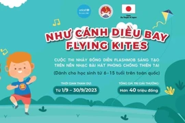 Gia Lai: Phổ biến Cuộc thi nhảy đồng diễn flashmob “Như cánh diều bay”