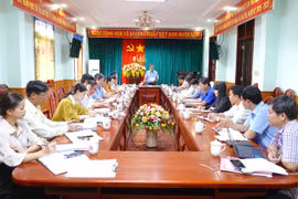  Giám sát về thực hiện thu-chi ngân sách đối với 4 địa phương