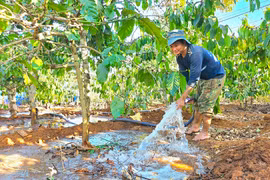 Trên những cánh đồng mùa xuân ở làng Ơp