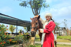 Du khách trải nghiệm cưỡi ngựa, ngắm thú ở Phố núi Pleiku