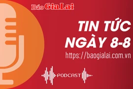 Tin tức sáng 8-8: Gia Lai mời gọi đầu tư các dự án trồng rừng