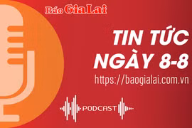 Tin tức sáng 8-8: Gia Lai mời gọi đầu tư các dự án trồng rừng