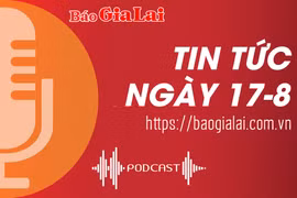 Tin tức sáng 17-8: Gia Lai xử phạt 37 cơ sở kinh doanh dược vi phạm