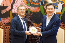 Phó Chủ tịch UBND tỉnh Gia Lai Nguyễn Tuấn Anh tiếp xã giao đoàn công tác của AFD tại Việt Nam