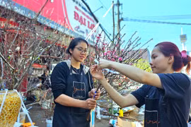 Đào cành mini hút khách ngày giáp Tết