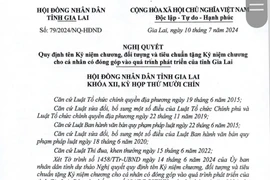 Gia Lai quy định tên kỷ niệm chương và quy định tặng kỷ niệm chương