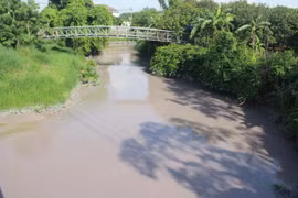 Công ty mang tên “tài nguyên xanh” nhưng hoạt động... không xanh