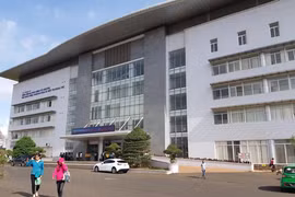 Ăn cà độc dược, 5 người trong một gia đình nhập viện cấp cứu