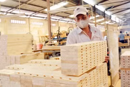 6 tháng năm 2023, Việt Nam xuất khẩu trên 6,4 tỷ USD hàng lâm sản