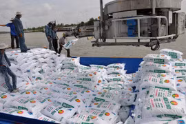 Năm 2023, Việt Nam chi trên 1,41 tỷ USD nhập khẩu phân bón các loại