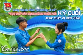 Làng thanh niên “2 không, 2 có” “Trợ lực” xây dựng nông thôn mới-Kỳ cuối: Thực chất và bền vững