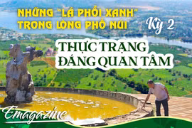 Những “lá phổi xanh” trong lòng Phố núi - Kỳ 2: Thực trạng đáng quan tâm