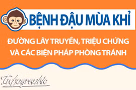 Bệnh đậu mùa khỉ - Đường lây truyền, triệu chứng và các biện pháp phòng tránh 