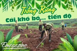 Trồng rừng: Cái khó bó... tiến độ