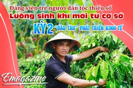 Ðảng viên trẻ người dân tộc thiểu số, luồng sinh khí mới từ cơ sở-Kỳ 2: “Ðầu tàu” phát triển kinh tế