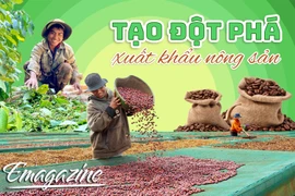 Tạo đột phá xuất khẩu nông sản