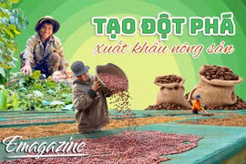 Tạo đột phá xuất khẩu nông sản