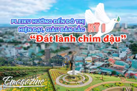 Pleiku hướng đến đô thị hiện đại, giàu bản sắc-Kỳ 1: “Đất lành chim đậu”