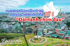 Pleiku hướng đến đô thị hiện đại, giàu bản sắc-Kỳ 1: “Đất lành chim đậu”