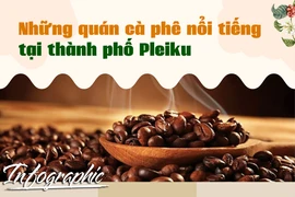 Những quán cà phê nổi tiếng tại thành phố Pleiku