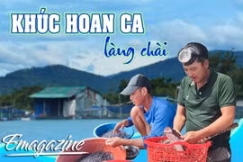 Khúc hoan ca làng chài