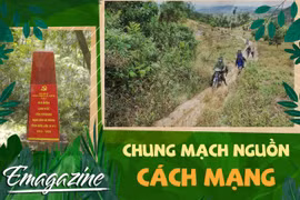 Chung mạch nguồn cách mạng