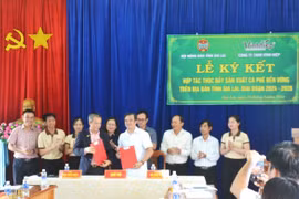 Hội Nông dân tỉnh Gia Lai-Công ty TNHH Vĩnh Hiệp ký kết hợp tác thúc đẩy sản xuất cà phê bền vững