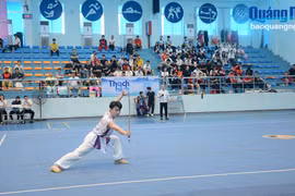 Hơn 500 vận động viên tham gia Giải vô địch Wushu quốc gia năm 2024
